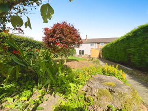 Photo 19- click for photo gallery